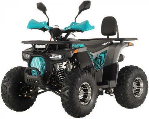 КВАДРОЦИКЛ FORTE ATV125P 19577 фото