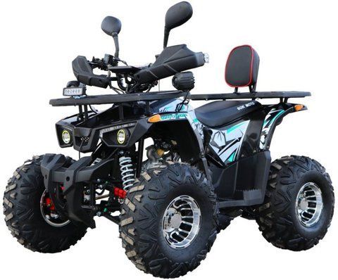 КВАДРОЦИКЛ HAMER SPIDER 125 MAX 19574 фото